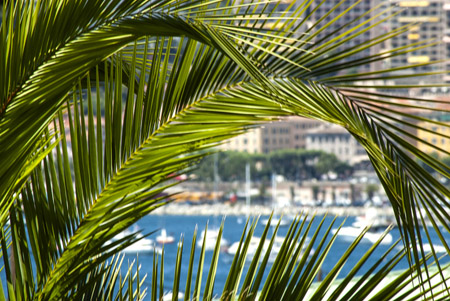 Location Grande Maison familliale Ajaccio pres de la plage 